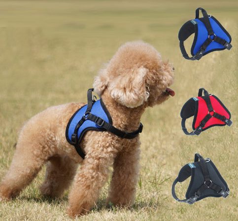 Reflective Dog Chest Harness with Seat Belt Traction Rope